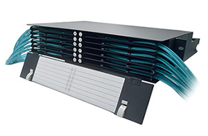 Optical trays and modules