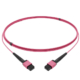 preterminated-MPO-MTP-cables_01